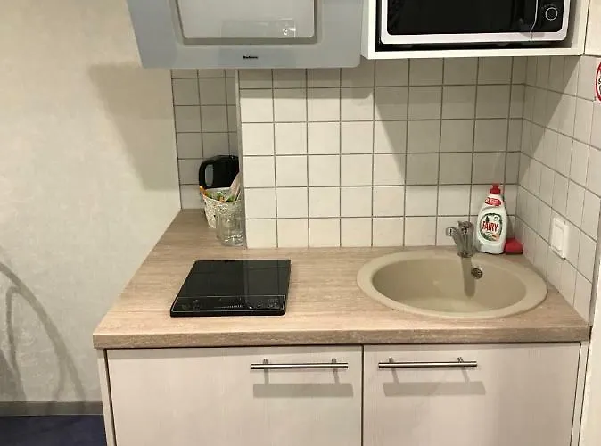 Liivalaia 40 Cozy Kitchen Apartment Reval